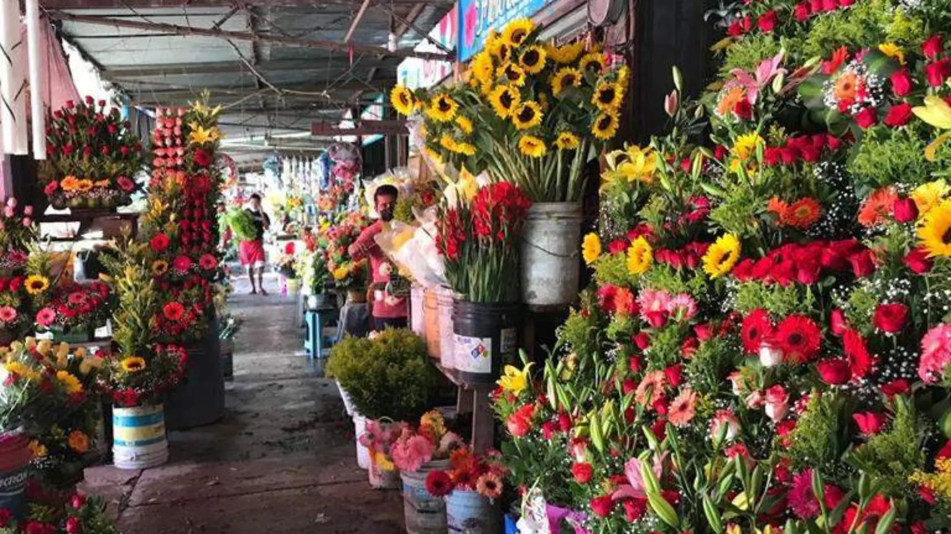 Flores Acapulco San Valentín